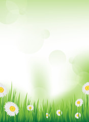 vector spring design / background