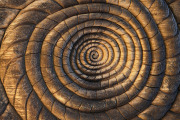 Spiral Carvings Background