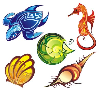 Vector collection of seashells and sea animals