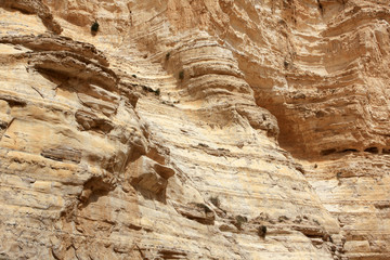 Ein Avdat canyon, Israel