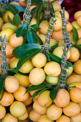 Maprang : tropical fruit in Thailand