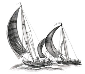 sea boats