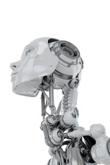 Gentle robotic woman