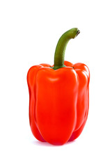 Bell Pepper