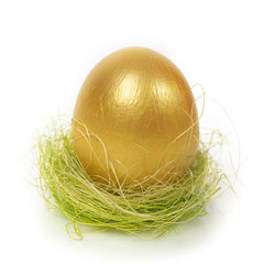 Egg in nest