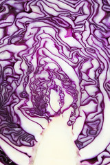 Obraz premium Red cabbage cut in half