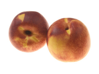 Fresh Nectarines