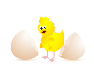 Chick