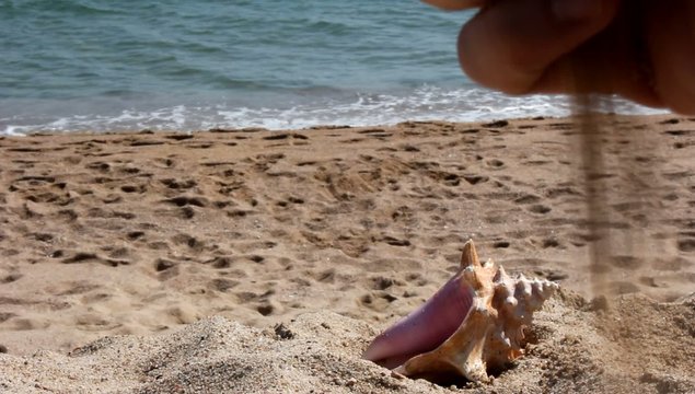 jugando en la playa