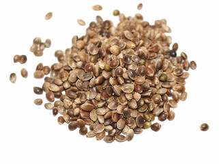 Hempseed isolated on white