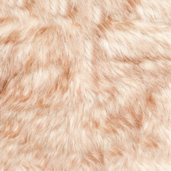 Fur background