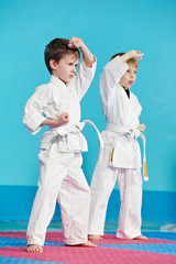 two boys make karate exercises