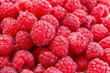 sweet fresh raspberries closeup