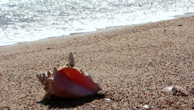ma&ntilde;ana de relax en la playa