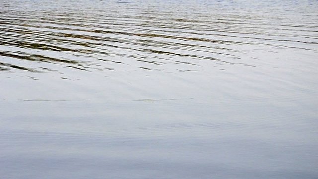 Spring lake fishing