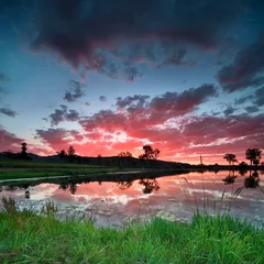 Foto op Plexiglas beautiful australian landscape at sunset © p a w e l