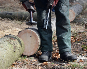 Lumberjack marking timber logs