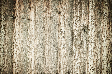 Obraz premium Background of stone wall texture