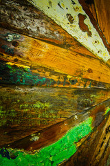 Old tree of different colors