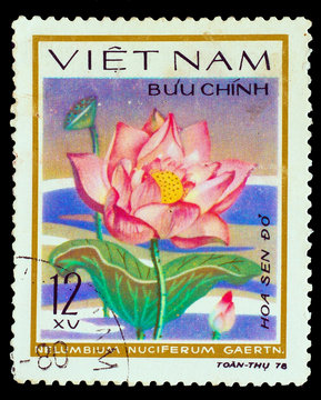 Fototapeta VIETNAM - CIRCA 1978: A stamp printed in VIETNAM, shows Sacred l