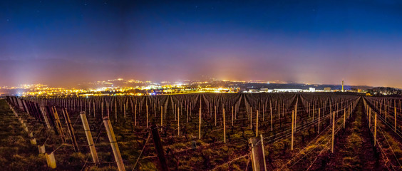 Swiss Vineyard at Night