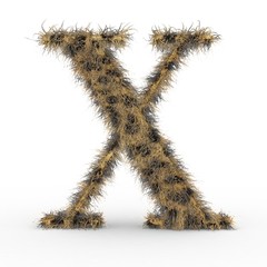 Texteffekt Haare Leopard X