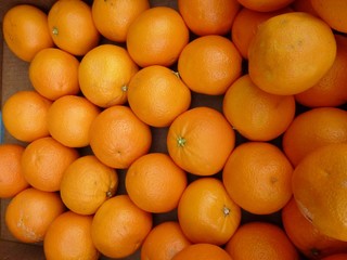 Oranges in a box at the greengrocer