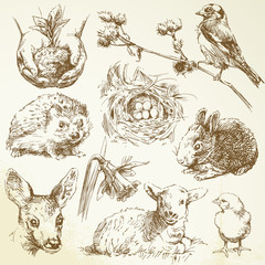 spring collection © canicula