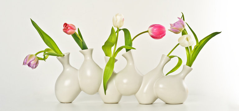 Tulpen in Vase