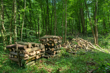 Stère de bois de chauffage
