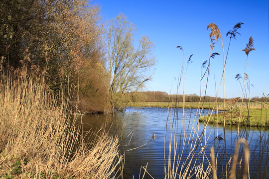 Biesbosch national park