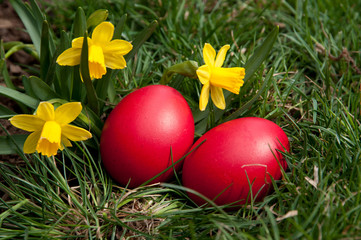 Easter eggs