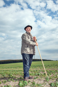 Farmer working in the fields