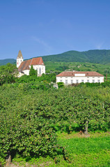 Fototapeta na wymiar Weinort Spitz in der Wachau an der Donau