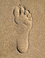 Footprint in Sand