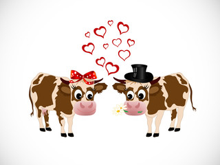 Cows in love