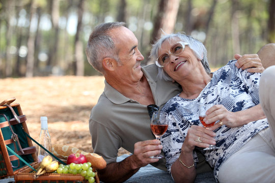 senior couple having a romantic picnic in the park