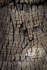 old wood background