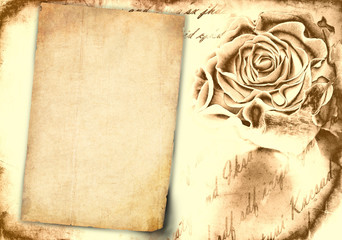 vintage background with old paper and rose bud