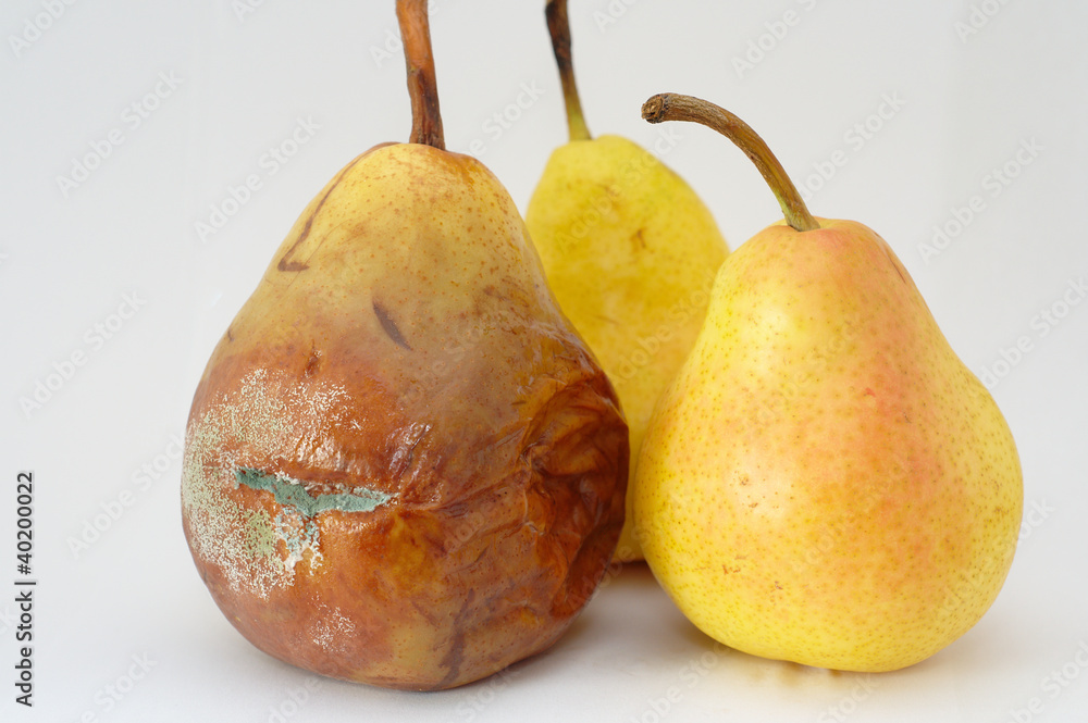 Wall mural Moldy pear