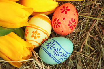Easter eggs and tulips on hay