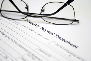 Biweekly payroll timesheet
