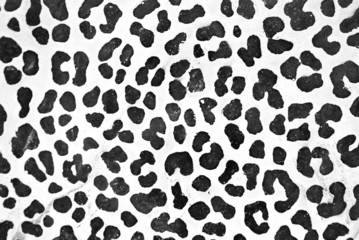 Obraz premium Black and white spots