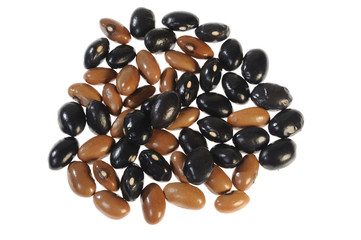 beans on white background