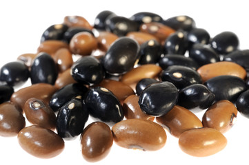 beans on white background