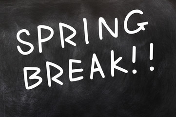 Fototapeta premium Spring break