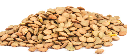 Lentils Isolated on White Background
