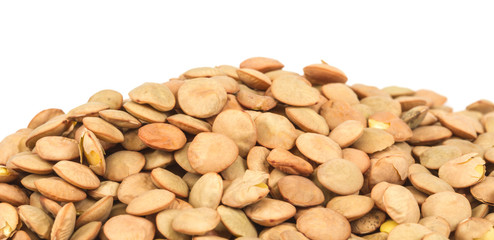 Lentils Isolated on White Background