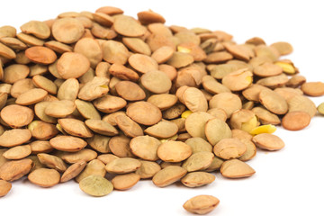 Lentils Isolated on White Background