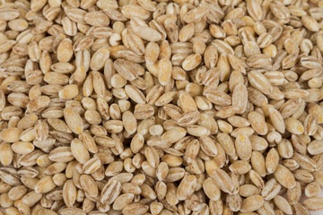 Pearl barley heap isolated on white